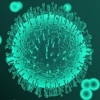 Thumbnail of related posts 182