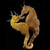 Thumbnail of related posts 040