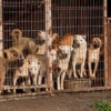 Thumbnail of related posts 118