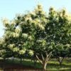 Thumbnail of related posts 088