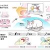 Thumbnail of related posts 069