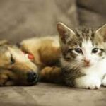 Thumbnail of post image 033