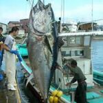 Thumbnail of post image 094