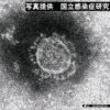 Thumbnail of related posts 088