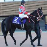 Thumbnail of post image 089