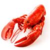 Thumbnail of related posts 062