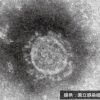 Thumbnail of related posts 046