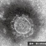 Thumbnail of post image 141