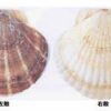 Thumbnail of related posts 030