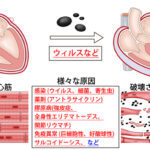 Thumbnail of post image 146