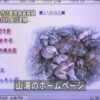 Thumbnail of related posts 172