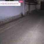 Thumbnail of post image 061